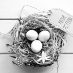 We wish you a Happy Easter 2015